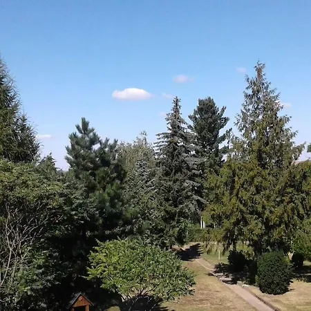 Am Harz
