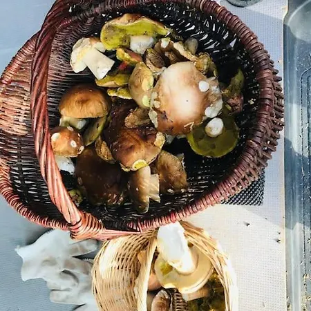 Appartement Am Harz *