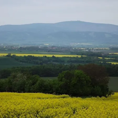 Appartement Am Harz Ballenstedt