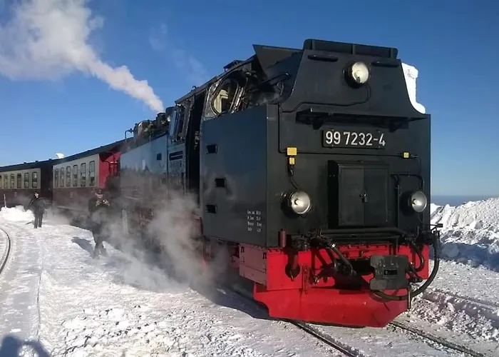 Am Harz Lejlighed Ballenstedt