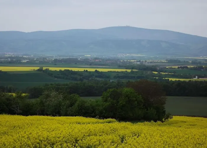 Lejlighed Am Harz Ballenstedt